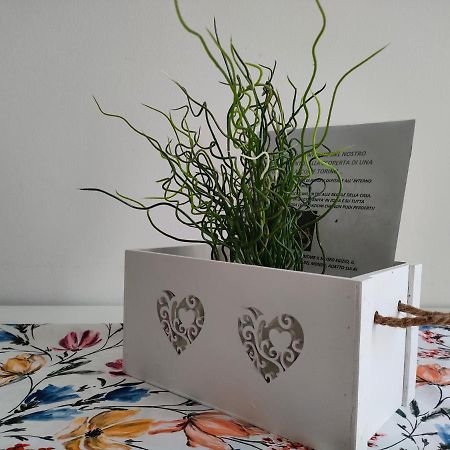Splendido Appartamento Vicino Al Cuore Di Torino Εξωτερικό φωτογραφία